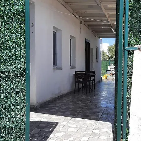 Family * ボドルム